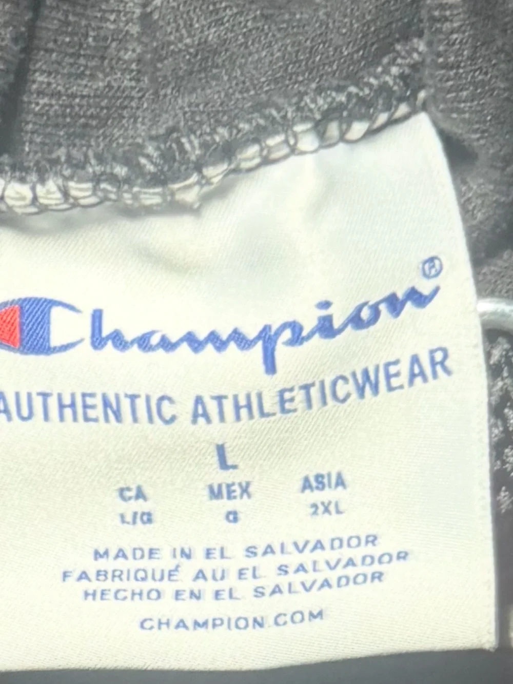 Champion Authentic Athleticwear Men's Black CSUN Logo Pullover Hoodie Fleece L